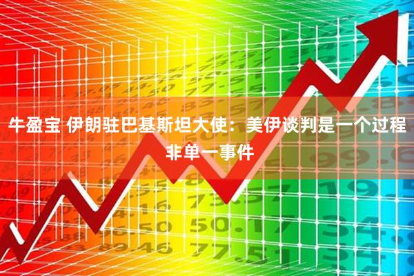 牛盈宝 伊朗驻巴基斯坦大使：美伊谈判是一个过程 非单一事件