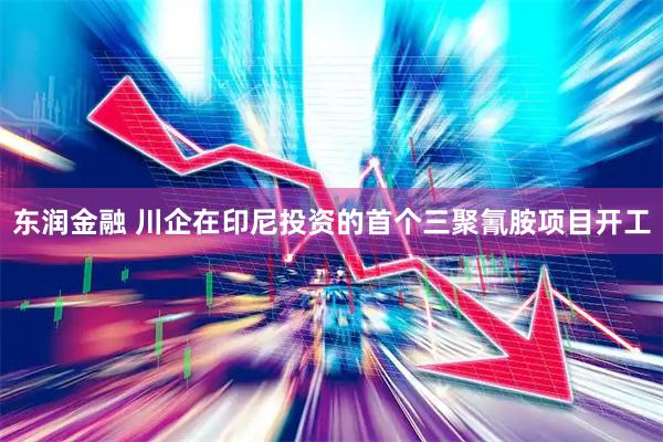东润金融 川企在印尼投资的首个三聚氰胺项目开工