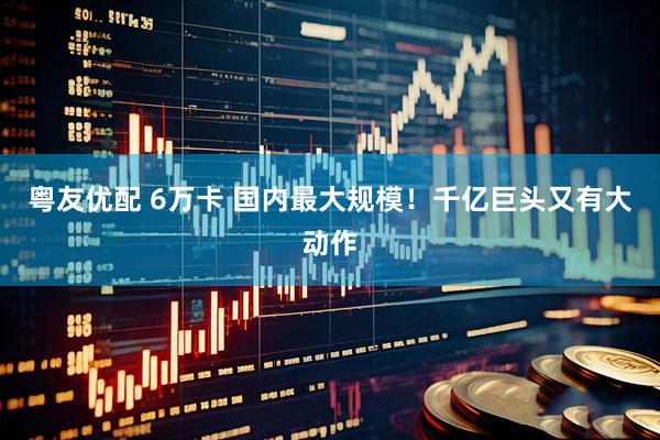 粤友优配 6万卡 国内最大规模！千亿巨头又有大动作